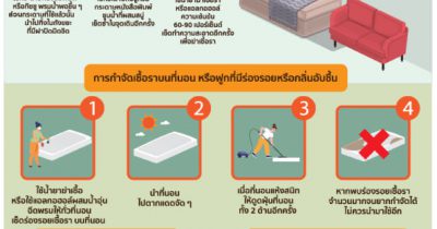 กำจัดเชื้อราในบ้านจากน้ำท่วมขังเป็นเวลานาน