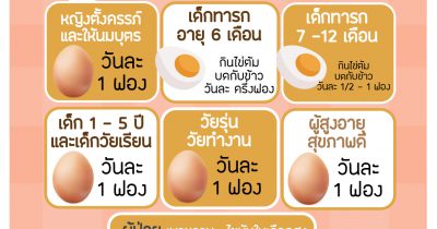 เรื่องไข่กินแล้วดี มีประโยชน์ ตอน แต่ละวัย กินไข่แตกต่างกันไป