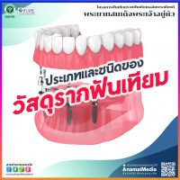 info687_tooth_13_1